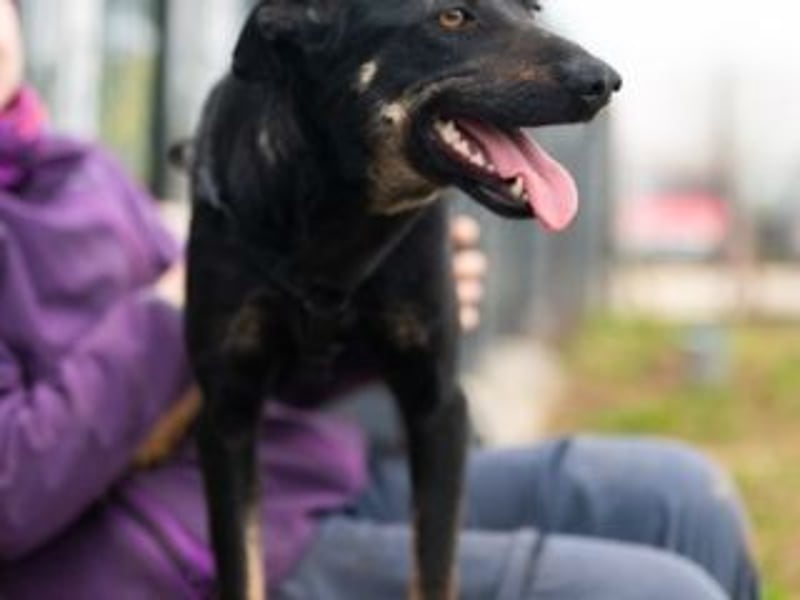 GLORIA- sehnt sich nach Liebe und Geborgenheit bei ihrer "Für-immer-Familie"