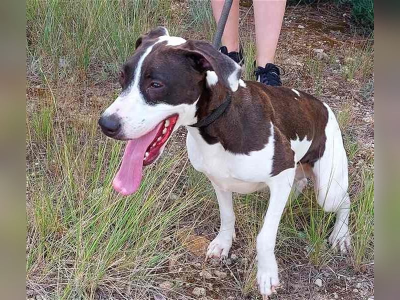 Cleo – versteht sich mit jedem