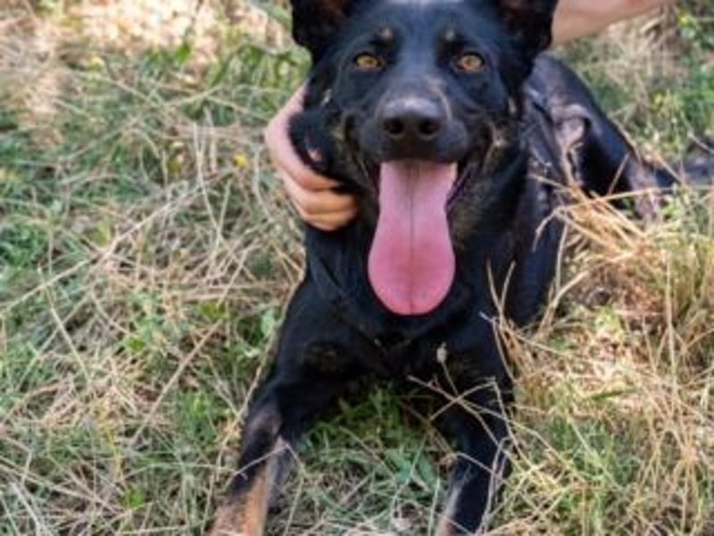 GLORIA- sehnt sich nach Liebe und Geborgenheit bei ihrer "Für-immer-Familie"