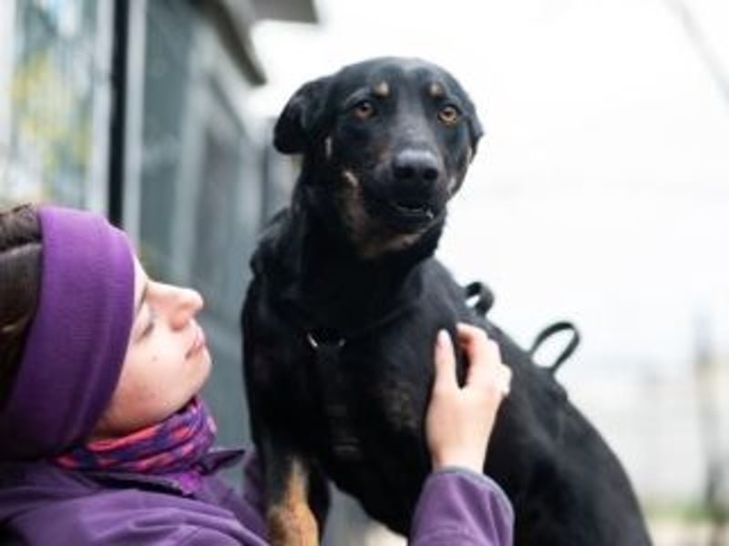 GLORIA- sehnt sich nach Liebe und Geborgenheit bei ihrer "Für-immer-Familie"