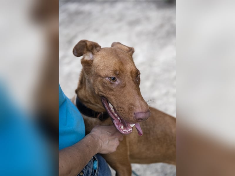 Carla – möchte den Menschen gefallen