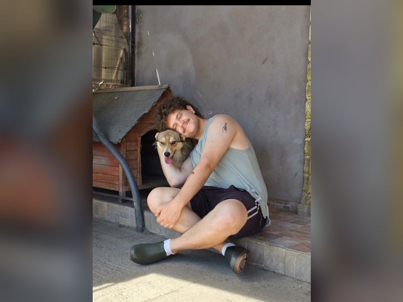 NINI - wundervolle Begleiterin sucht ihr liebevolles Für-immer-Zuhause