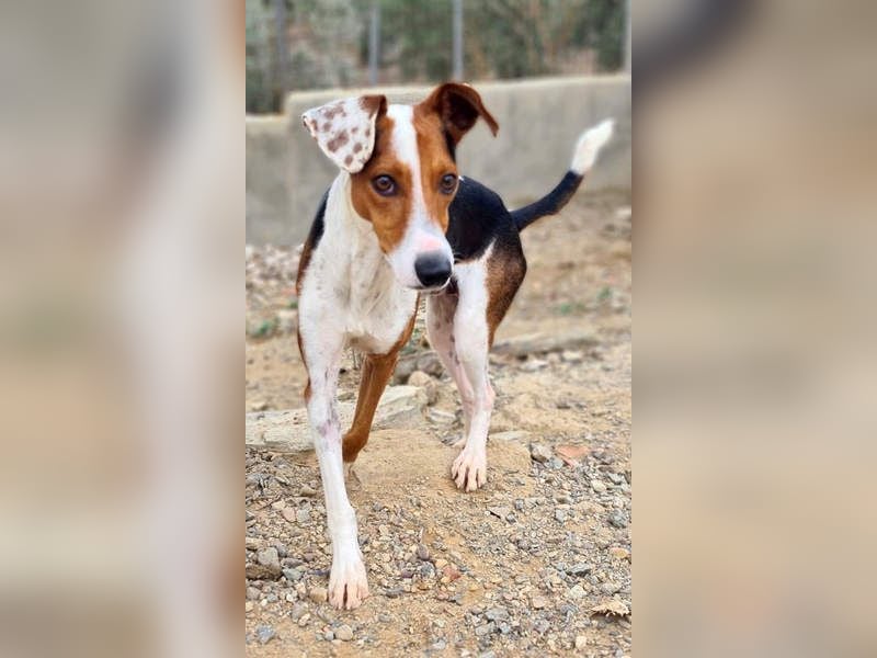 MANU-zauberhafter Bub voller Fröhlichkeit, Lebensfreude sucht seine liebevolle Für-immer-Familie