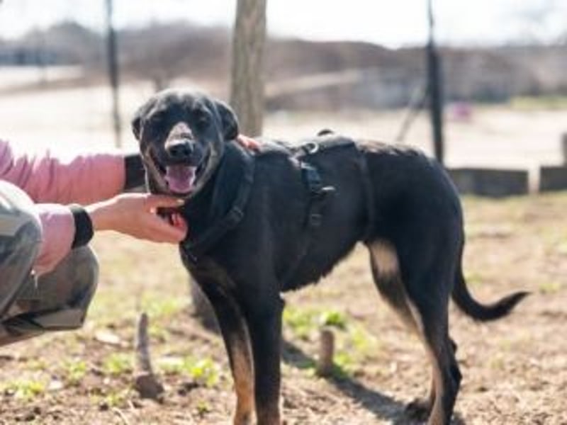 GLORIA- sehnt sich nach Liebe und Geborgenheit bei ihrer "Für-immer-Familie"