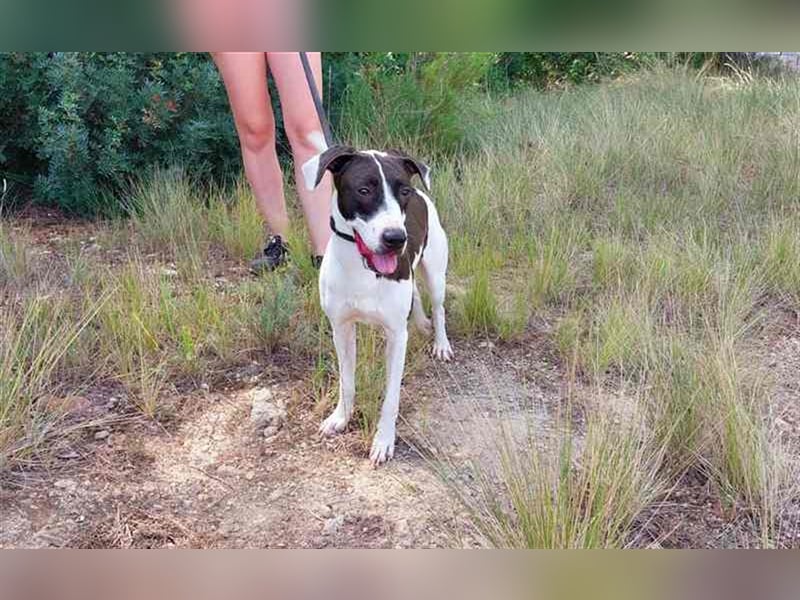 Cleo – versteht sich mit jedem