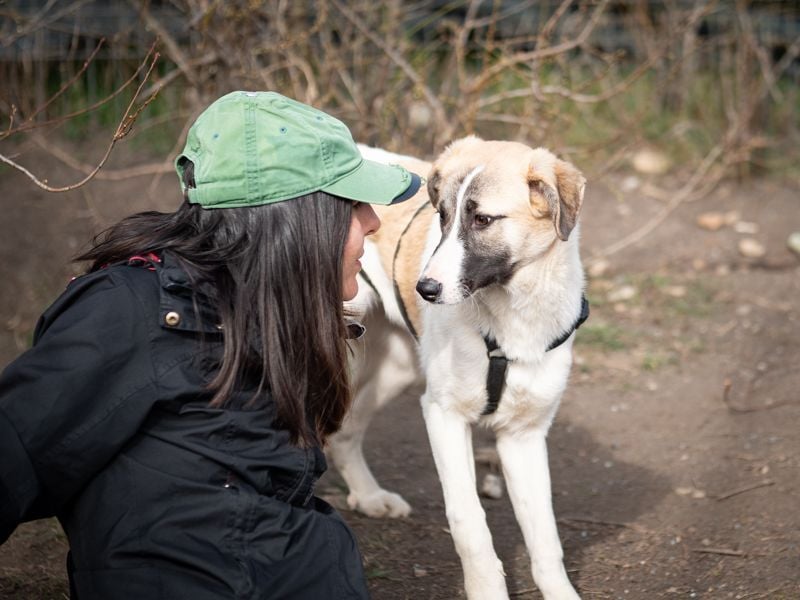 FINJA-sehr freundliche, liebes Mädchen sucht warmes, herzliches Zuhause