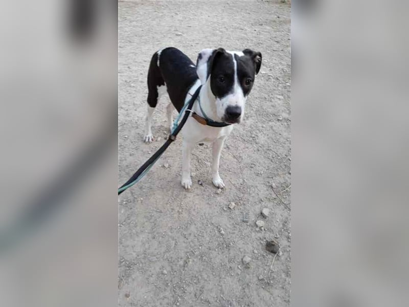 Cleo – versteht sich mit jedem