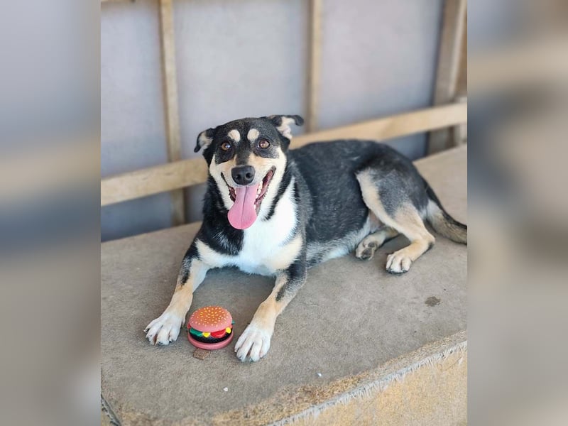 EREN-Lebensfreude pur, sie versüßt ede Minute des Tages-endlich in ihrem "Für-immer-Zuhause"?