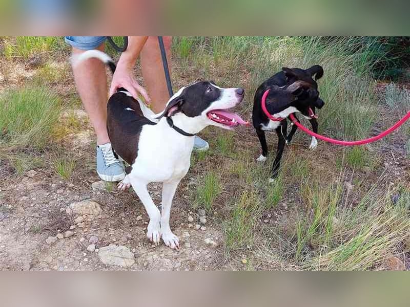 Cleo – versteht sich mit jedem