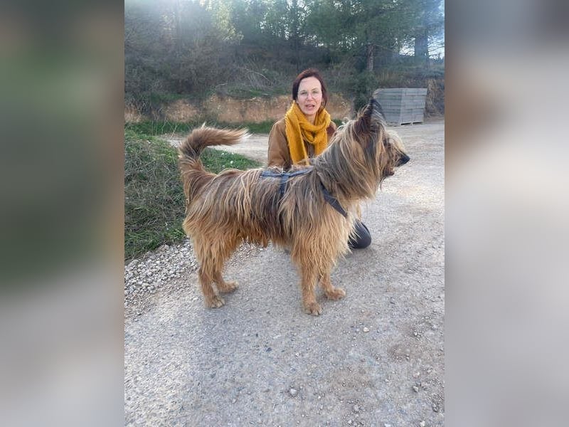 KINDER-sucht liebevolles Für-immer-Zuhause