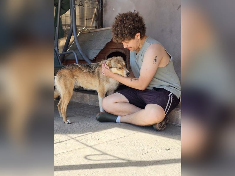 NINI - wundervolle Begleiterin sucht ihr liebevolles Für-immer-Zuhause