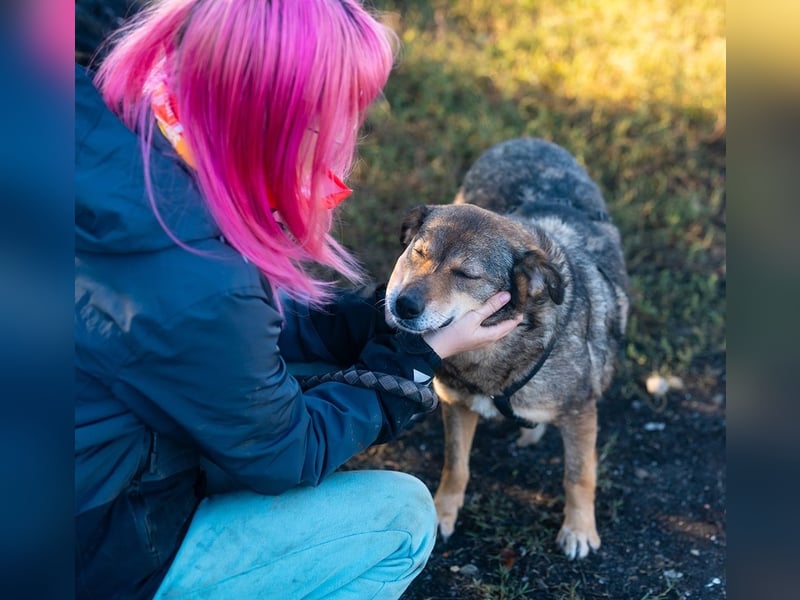 HOPE-ein liebes, fröhliches Mädchen mit sonnigem Gemüt hofft noch einmal auf ihre liebevolle Familie
