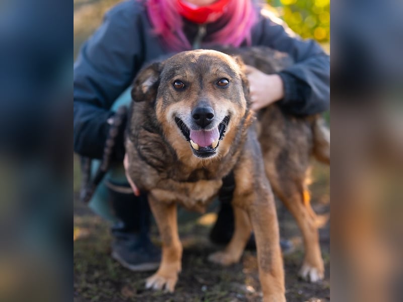 HOPE-ein liebes, fröhliches Mädchen mit sonnigem Gemüt hofft noch einmal auf ihre liebevolle Familie