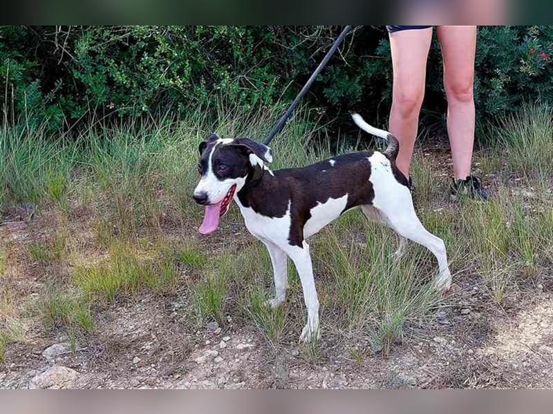 Cleo – versteht sich mit jedem