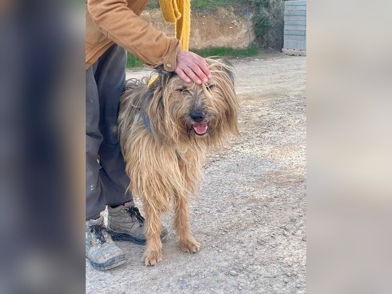 KINDER-sucht liebevolles Für-immer-Zuhause