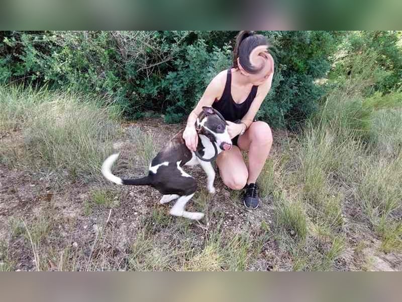 Cleo – versteht sich mit jedem