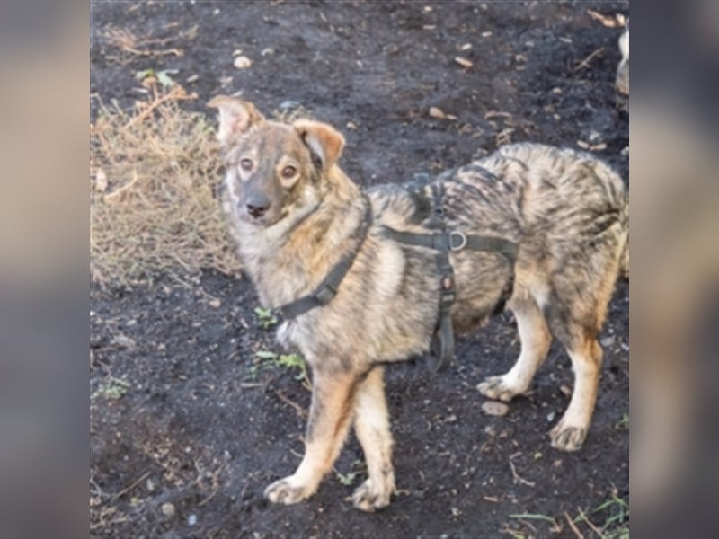 Nancy – wartet in 60529 Frankfurt auf deinen Besuch