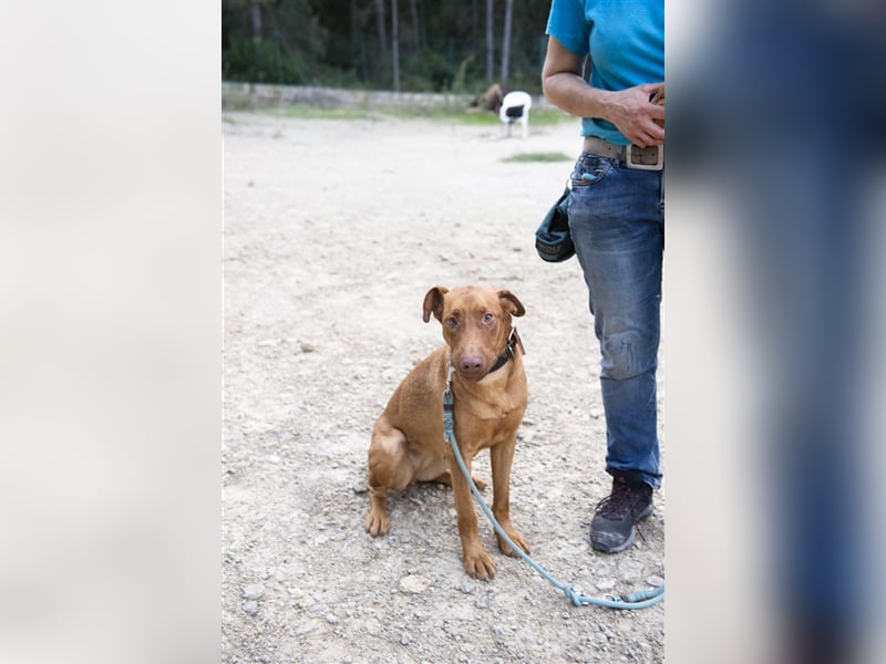 Carla – möchte den Menschen gefallen