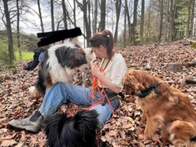 ZULU-hier bin ich! Süßes, hellwaches Mädchen auf der Suche nach liebevollem Zuhause