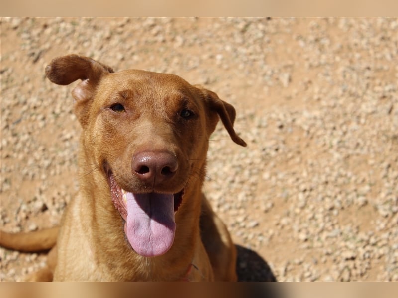 Carla – möchte den Menschen gefallen