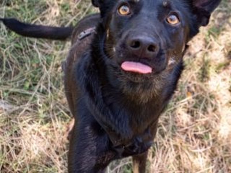 GLORIA- sehnt sich nach Liebe und Geborgenheit bei ihrer "Für-immer-Familie"