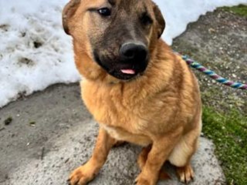 ATHENA-möchte sich die Welt durch Schnüffeln, Buddeln, Planschen, Toben und Herumjagen erkunden