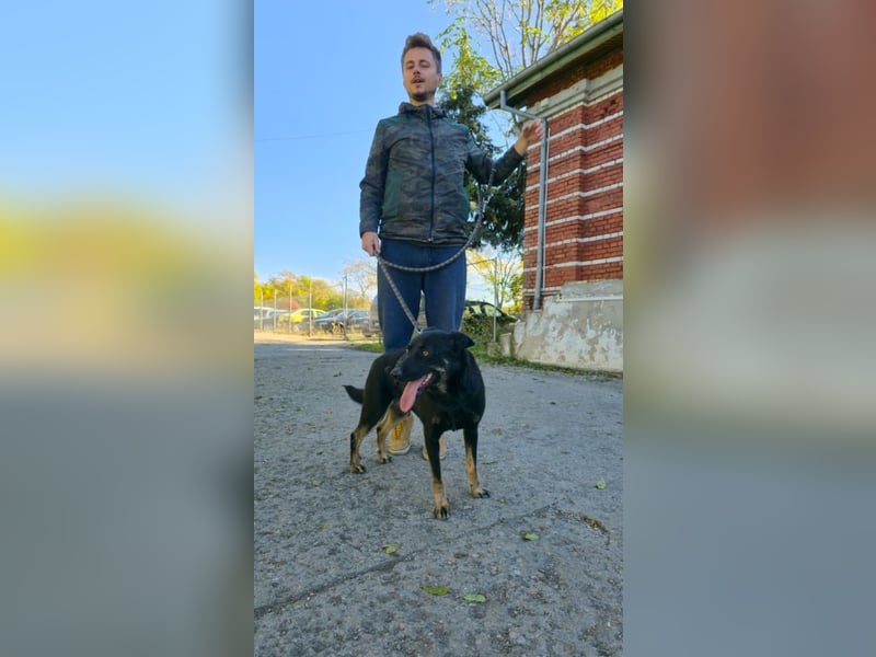 GLORIA- sehnt sich nach Liebe und Geborgenheit bei ihrer "Für-immer-Familie"