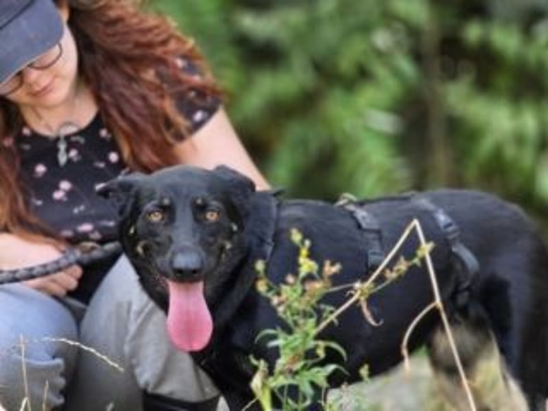 GLORIA- sehnt sich nach Liebe und Geborgenheit bei ihrer "Für-immer-Familie"