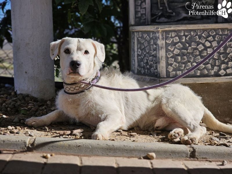 Karim erobert mit seinem freundlichen Wesen sofort die Herzen