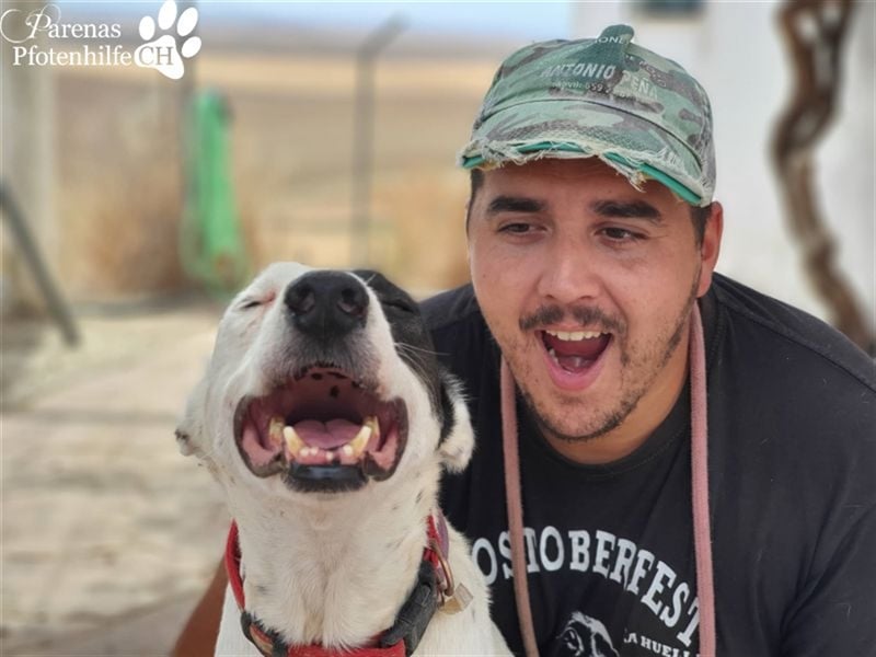 Sparrow ist ein netter, unkomplizierter Kerl