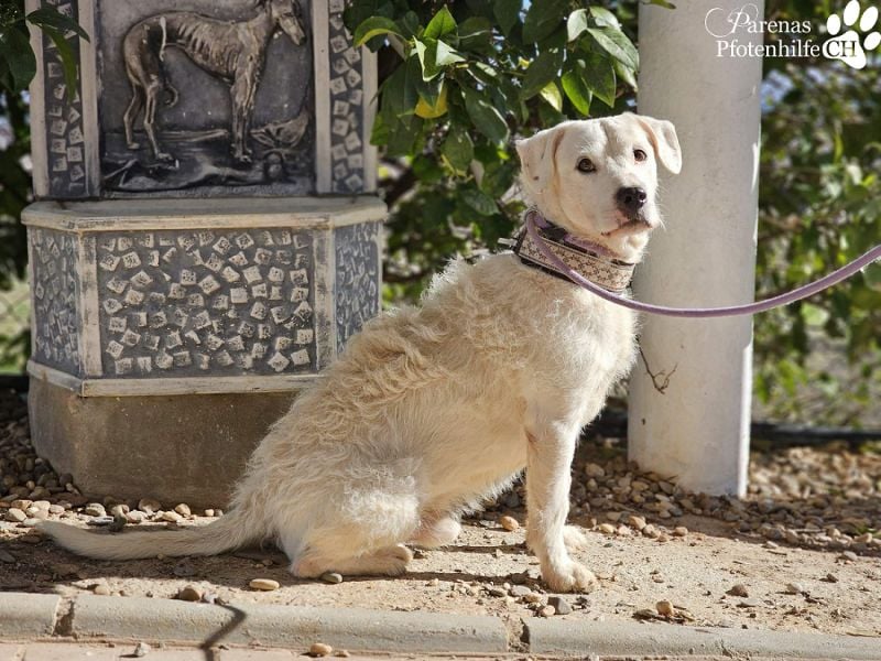 Karim erobert mit seinem freundlichen Wesen sofort die Herzen