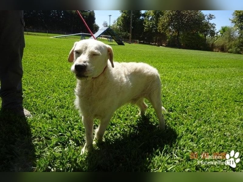 Karim erobert mit seinem freundlichen Wesen sofort die Herzen