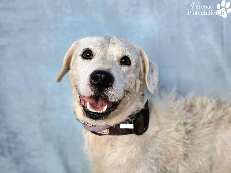 Karim erobert mit seinem freundlichen Wesen sofort die Herzen