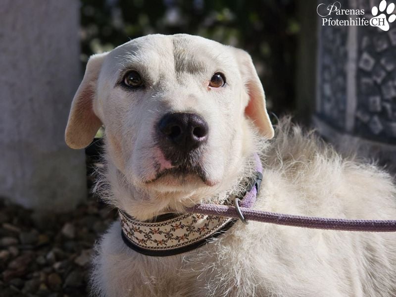 Karim erobert mit seinem freundlichen Wesen sofort die Herzen
