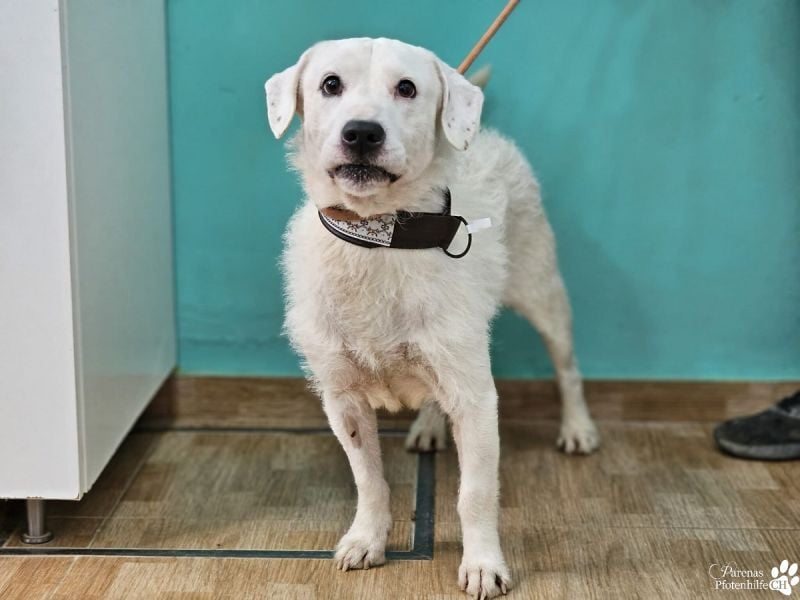 Karim erobert mit seinem freundlichen Wesen sofort die Herzen