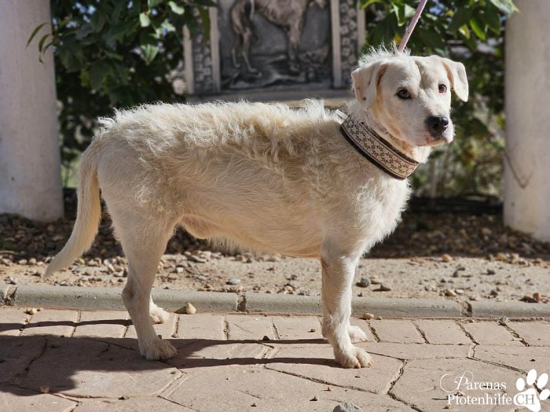 Karim erobert mit seinem freundlichen Wesen sofort die Herzen