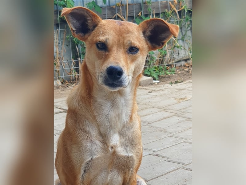 Curry: einmal auf der Sonnenseite stehen