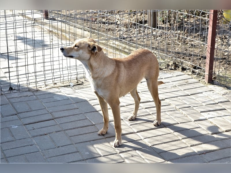 Curry: einmal auf der Sonnenseite stehen