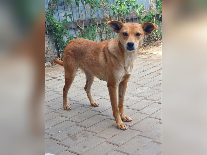 Curry: einmal auf der Sonnenseite stehen