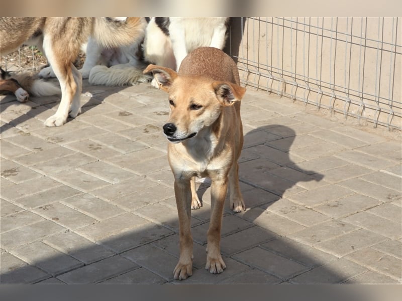 Curry: einmal auf der Sonnenseite stehen