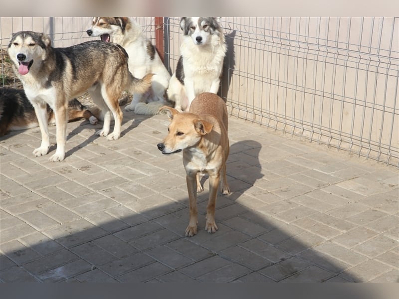 Curry: einmal auf der Sonnenseite stehen