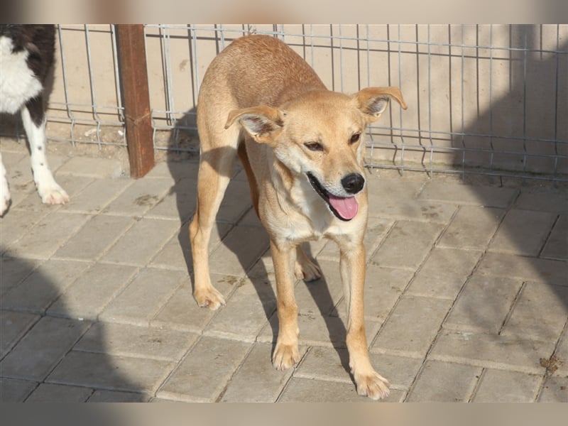 Curry: einmal auf der Sonnenseite stehen