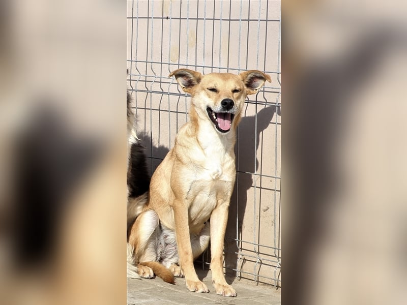 Curry: einmal auf der Sonnenseite stehen