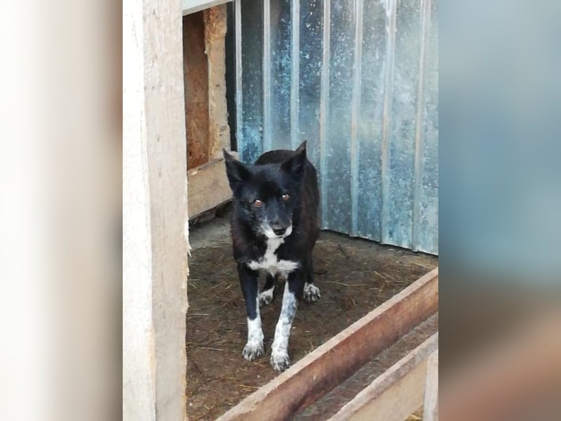 Celine sucht ihre Familie