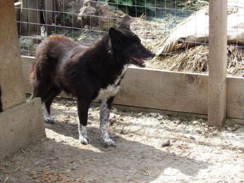 Celine sucht ihre Familie