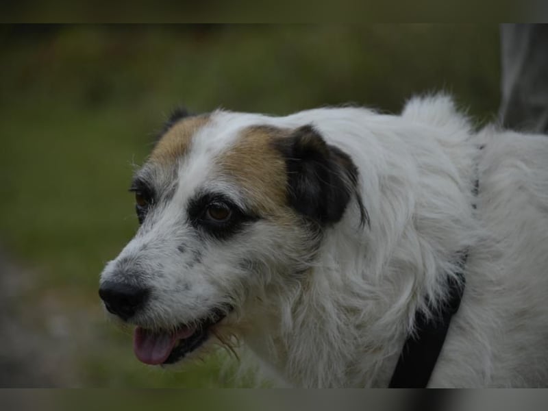 Motte, ganz liebes Mädchen möchte endlich ankommen