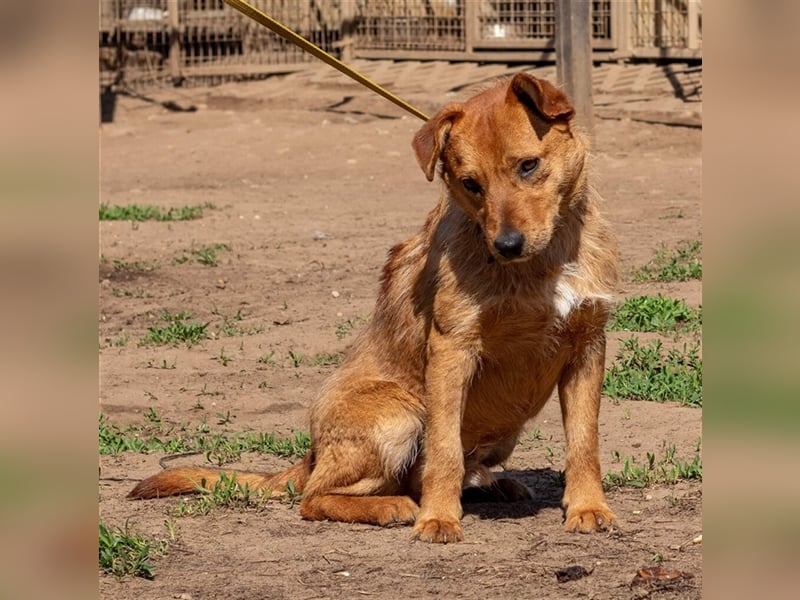 Swamp, aus mir kann noch etwas werden