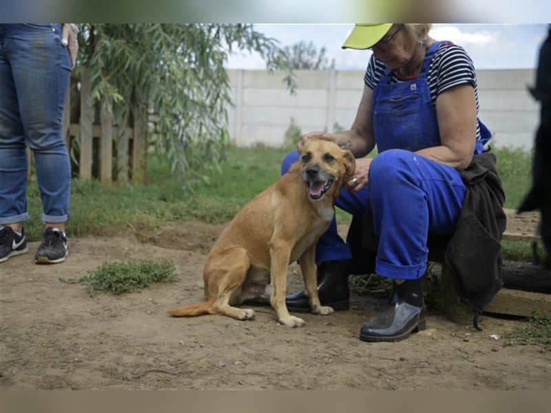ÖRS sucht Lieblingsmensch für eine immer währende Kuscheleinlage