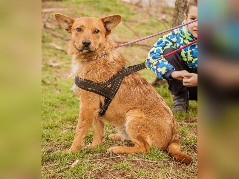 Swamp, aus mir kann noch etwas werden