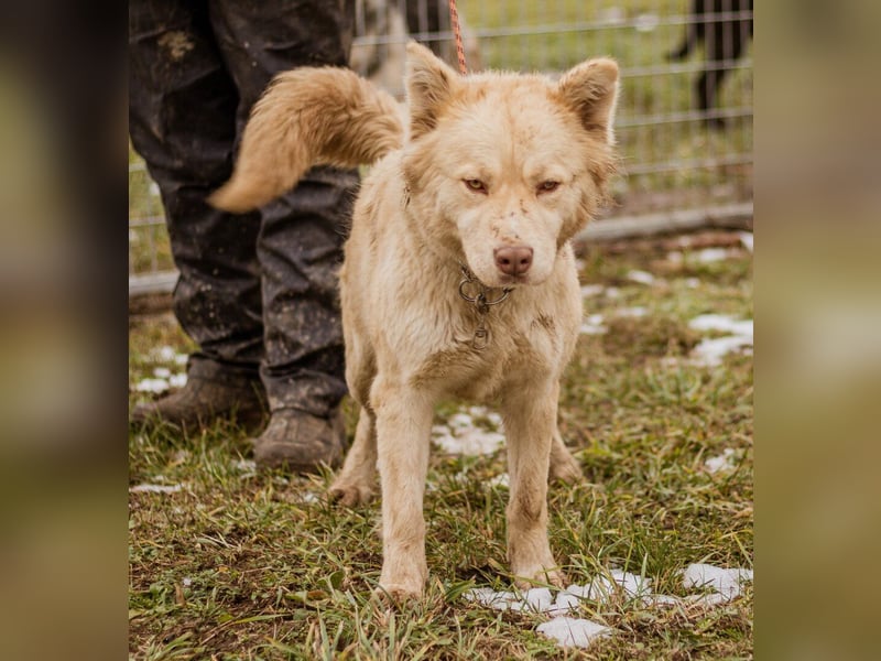 Iris, junge hübsche Lady sucht wieder ihre Familie auch mit Kindern
